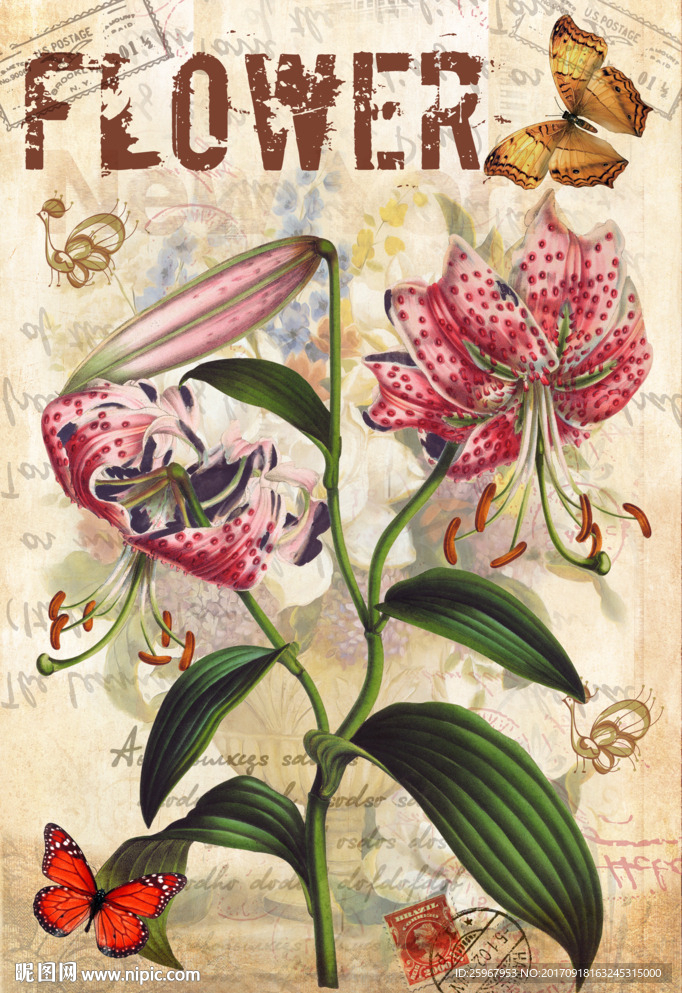 蝴蝶花卉装饰画