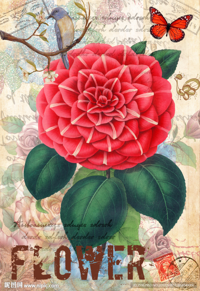 蝴蝶花卉装饰画