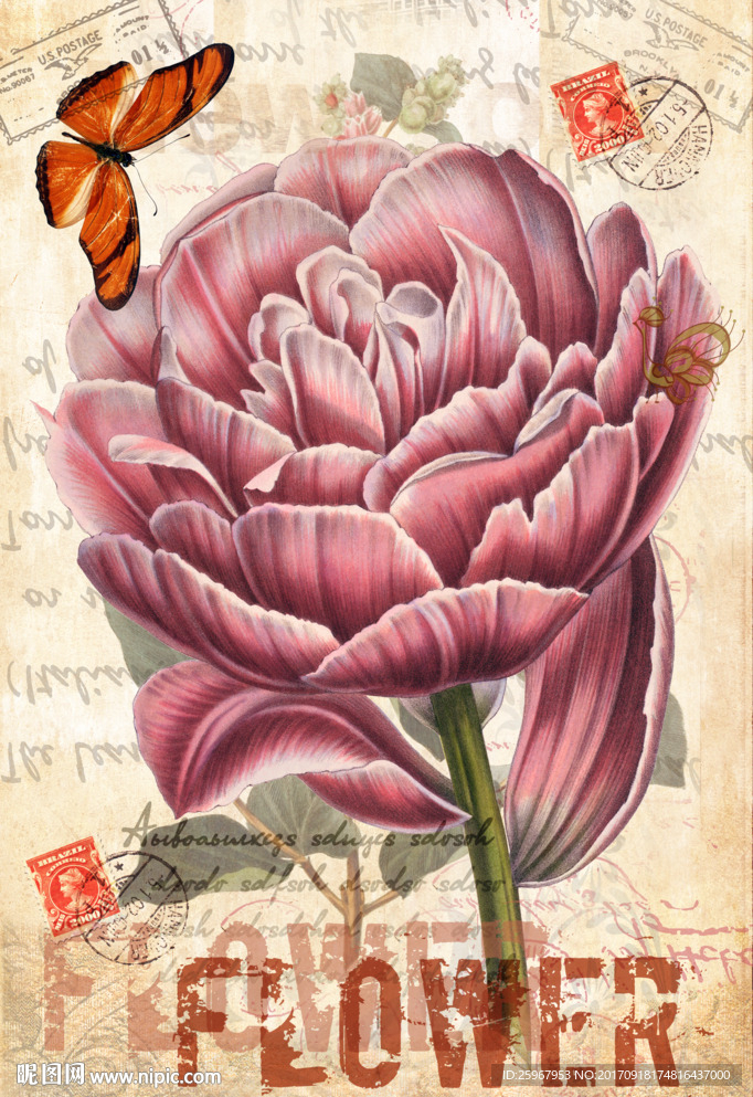 蝴蝶花卉装饰画