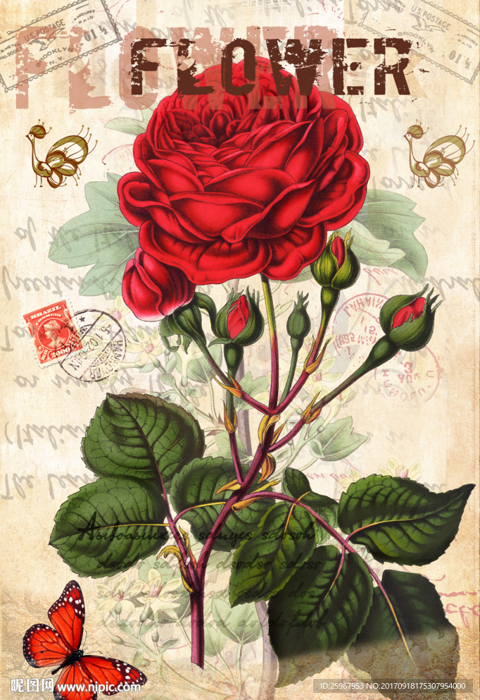 蝴蝶花卉装饰画