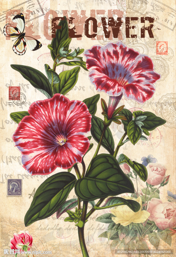 蝴蝶花卉装饰画