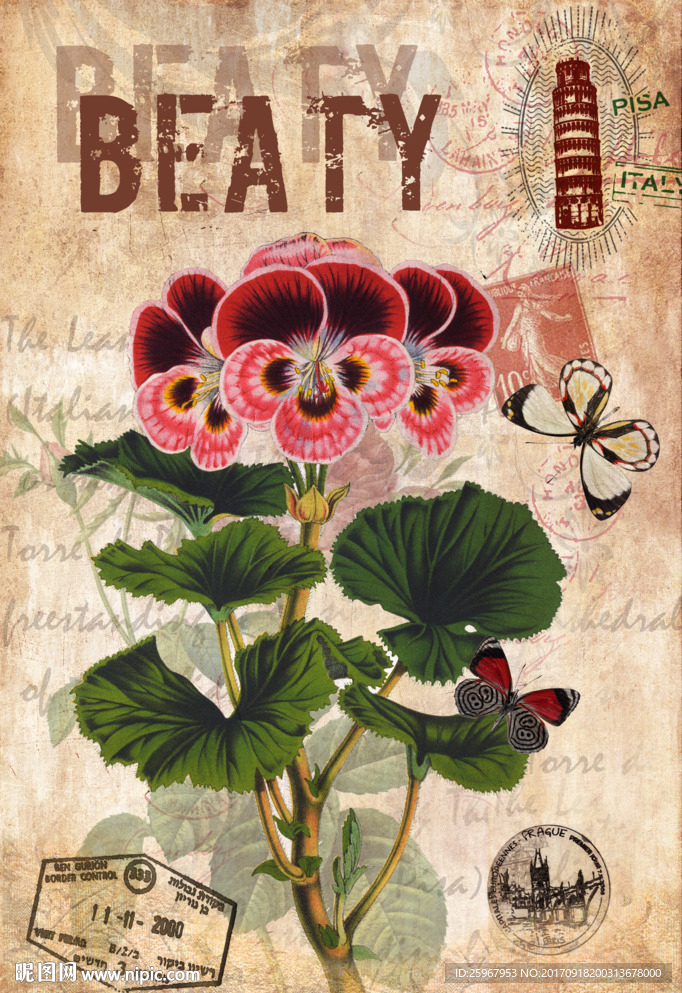 蝴蝶花卉装饰画