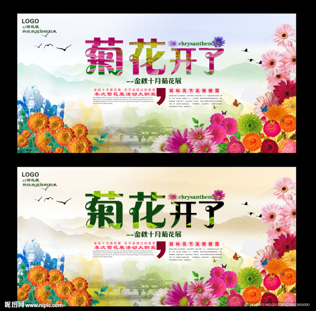 菊花开了