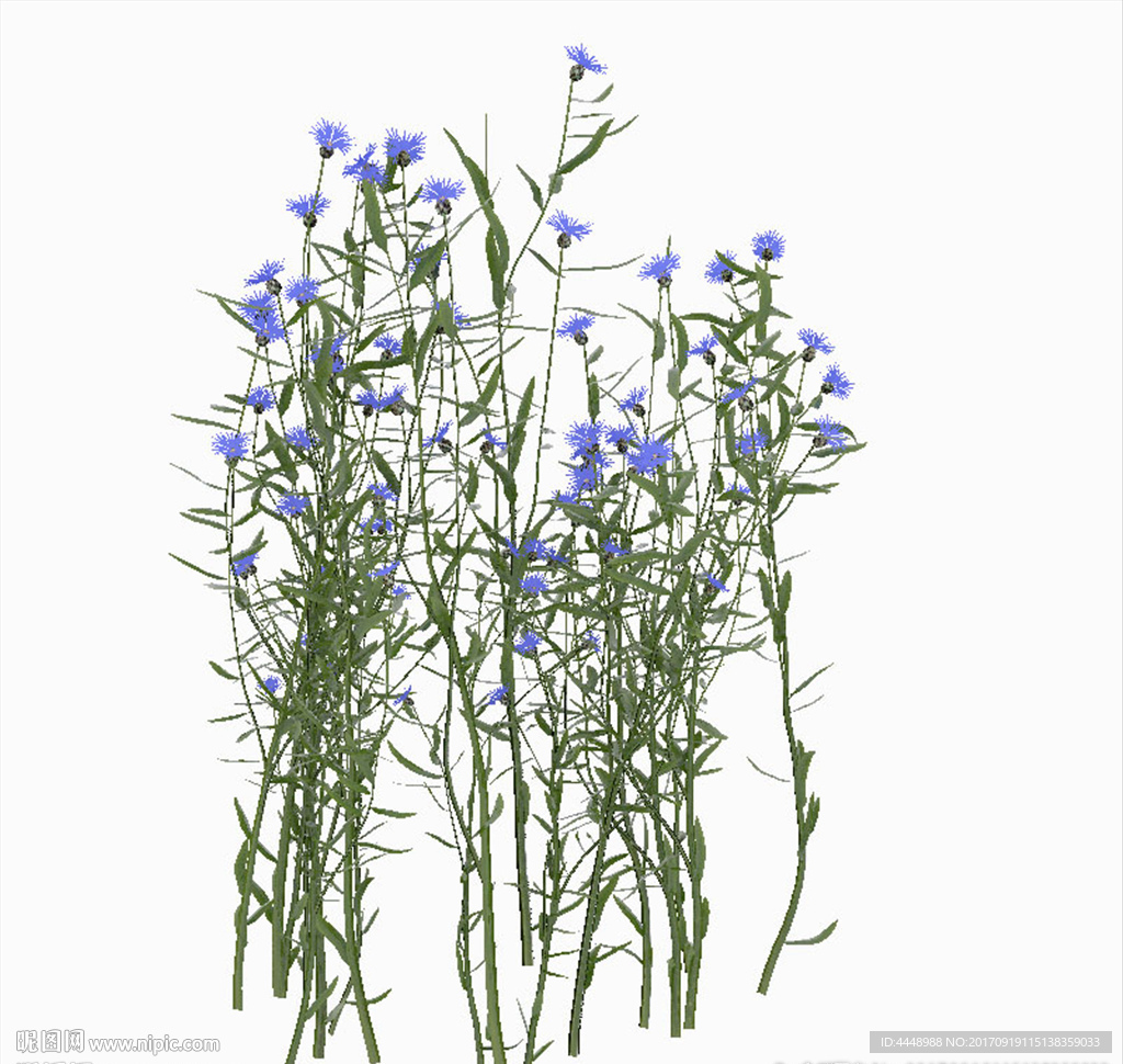 紫色花植物模型