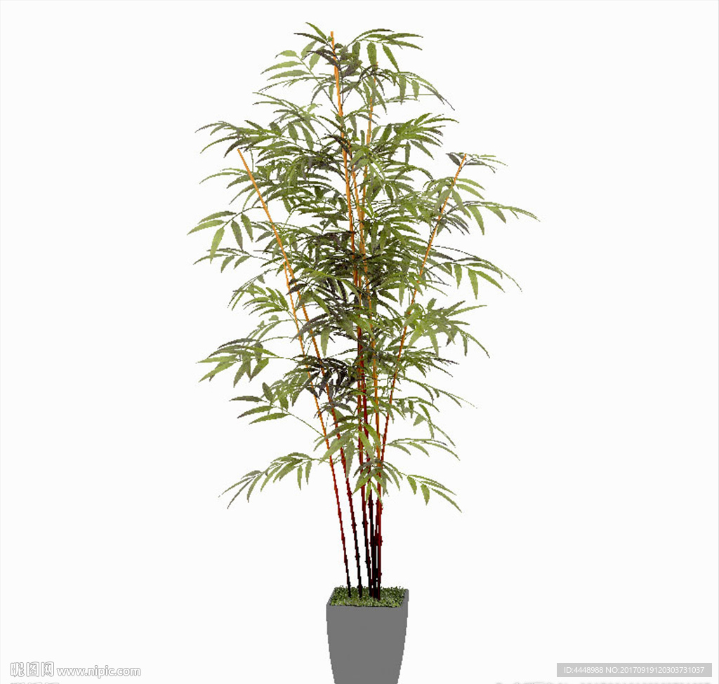 竹子盆景模型