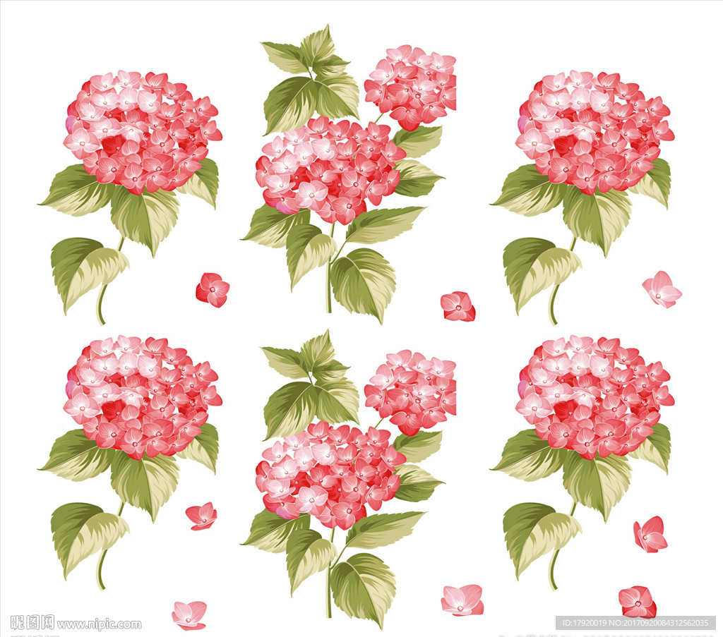 逼真矢量绣球花