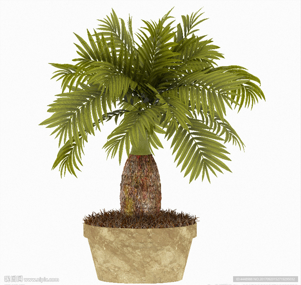 小型棕榈树盆景模型
