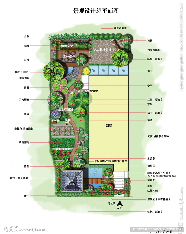 别墅景观设计方案彩色平面图