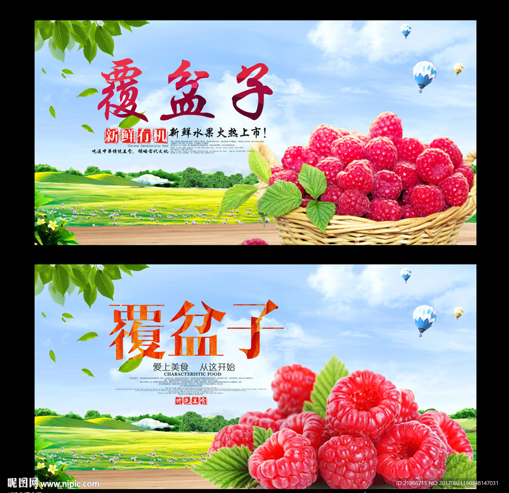 覆盆子