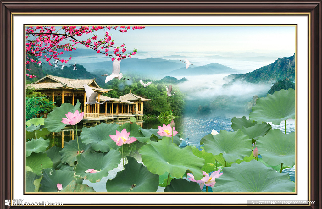 荷花风景
