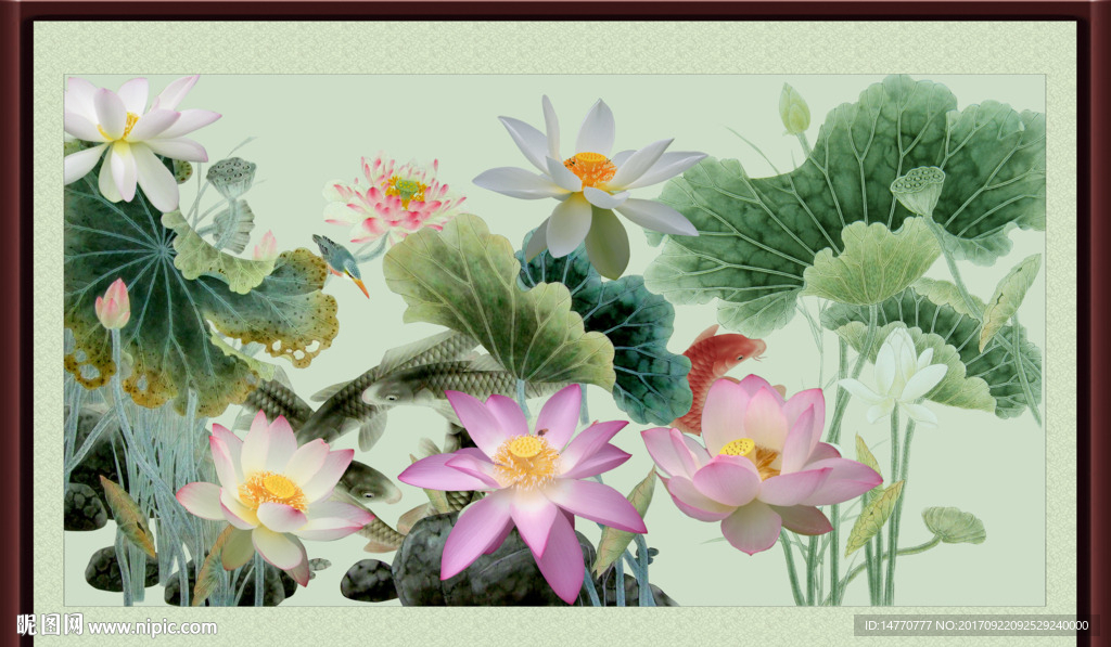 荷花鲤鱼图