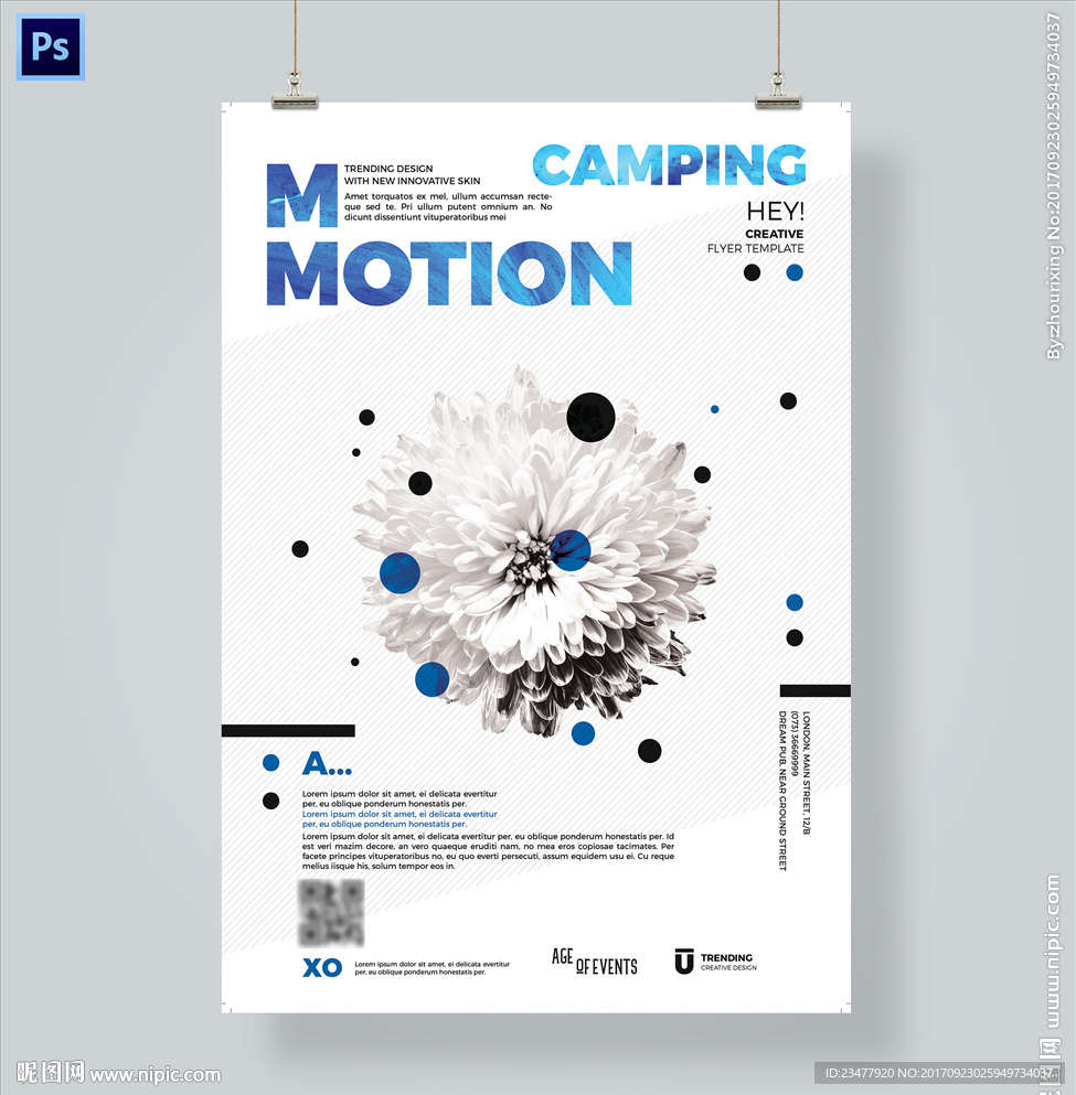 时尚唯美白色花卉展板