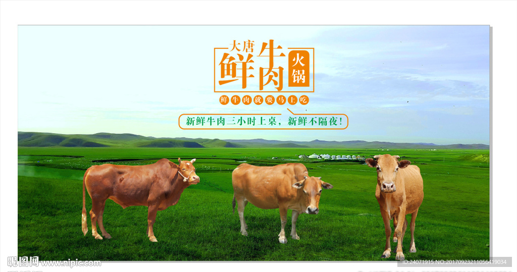 牛肉店 牛肉火锅