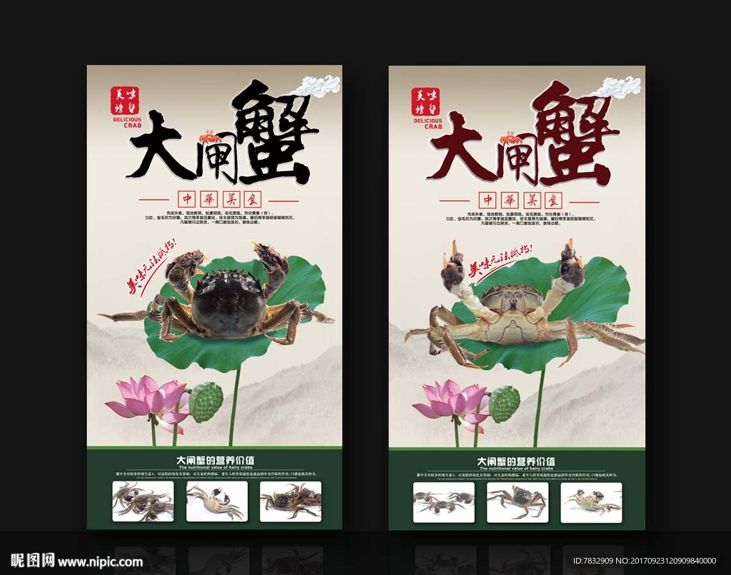 大闸蟹  鲜活螃蟹