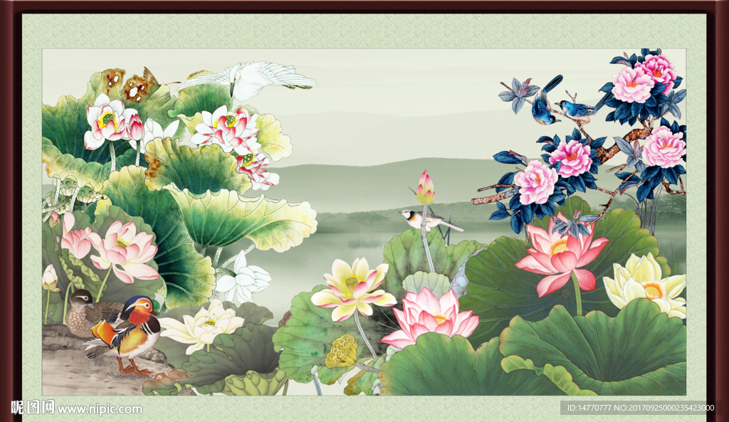荷花图
