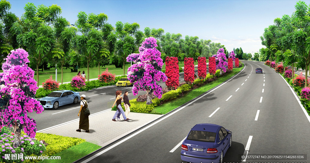 叶子花三角梅道路效果图