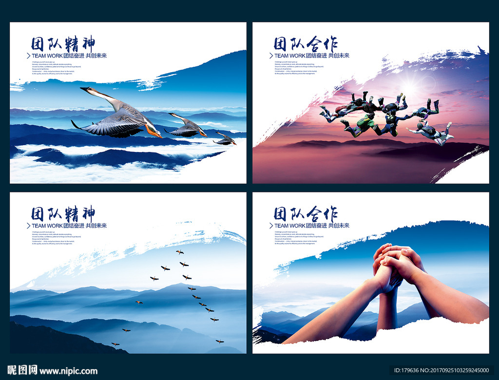 公司团队