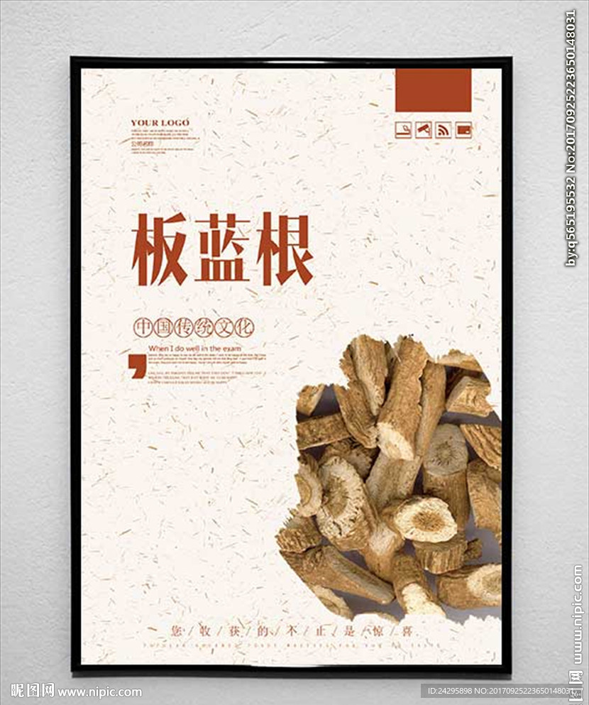 板蓝根