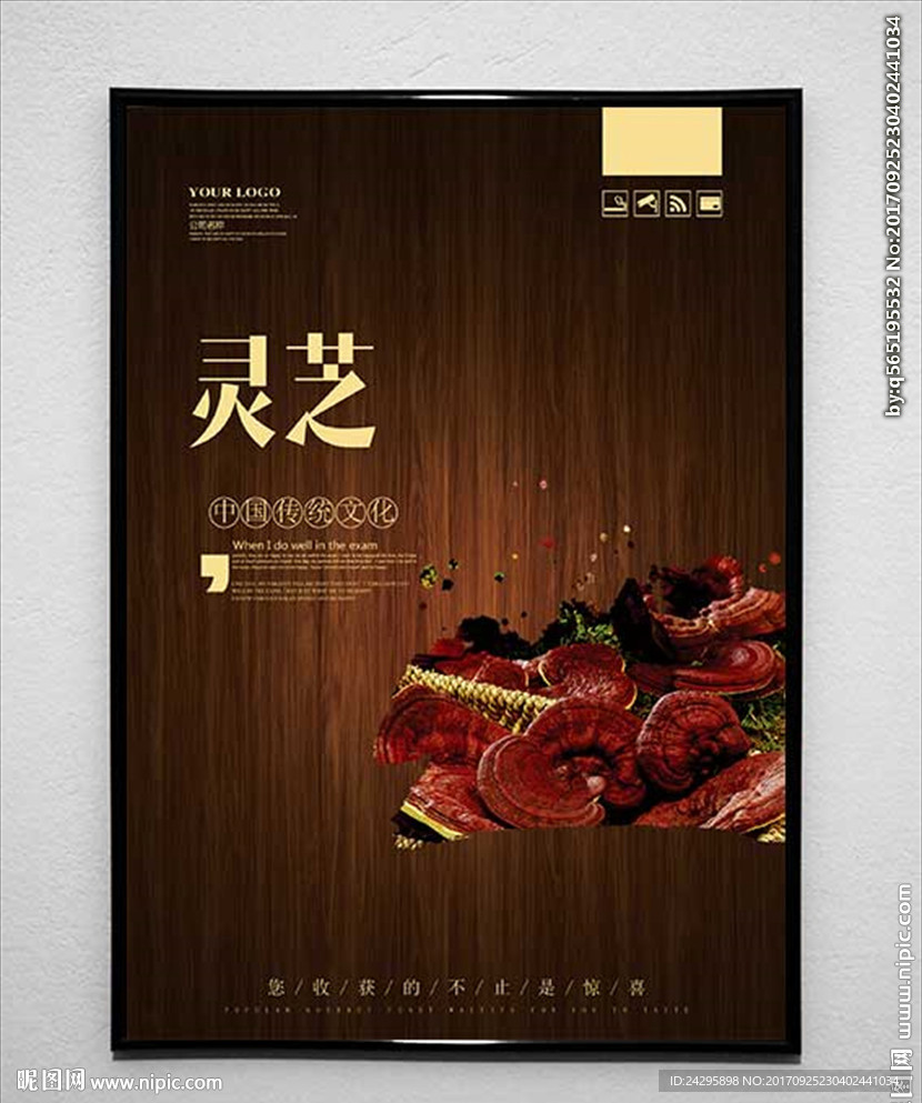 灵芝