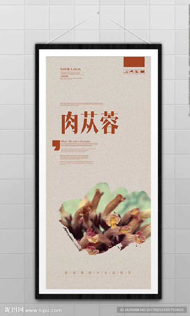 肉苁蓉