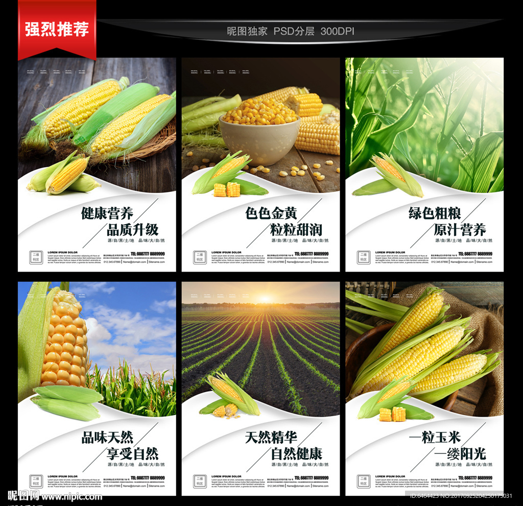 玉米