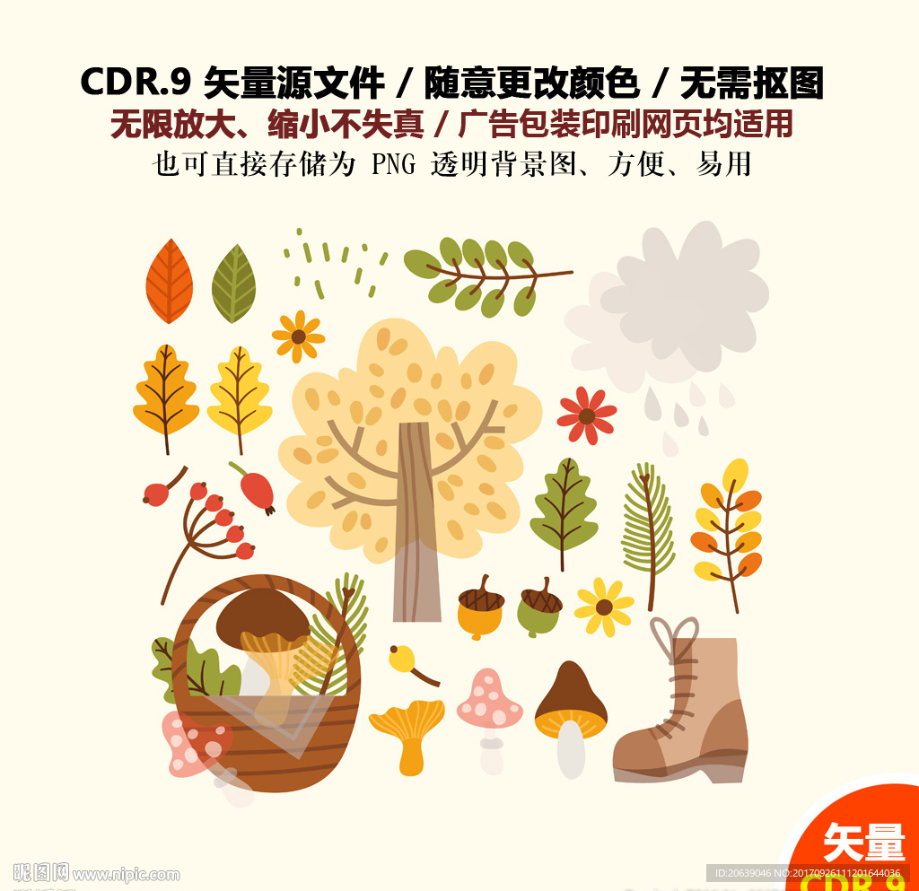 手绘坚果树叶榛果矢量图素材