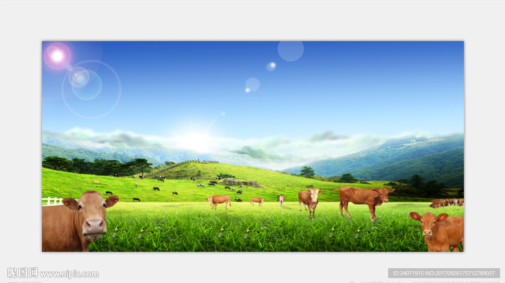 牛肉火锅 牛肉海报