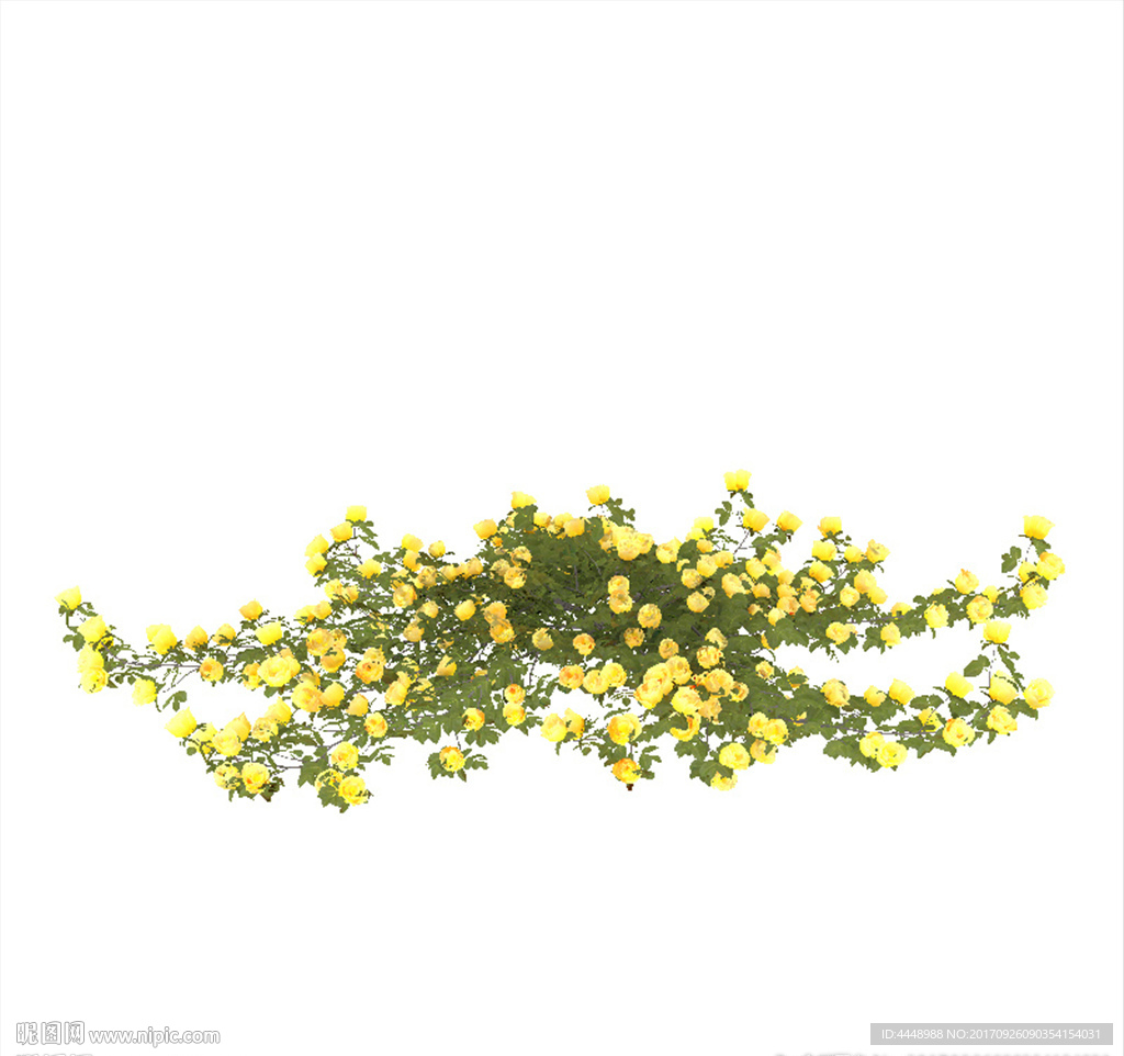 黄色花丛模型