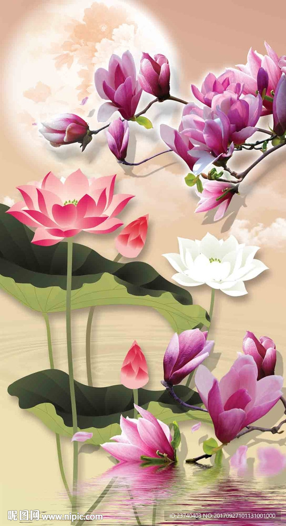 玉兰花玄关