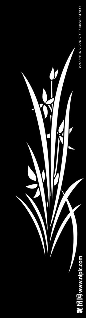 兰花