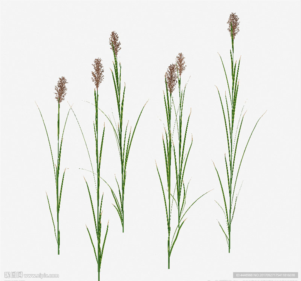 室外野花野草模型