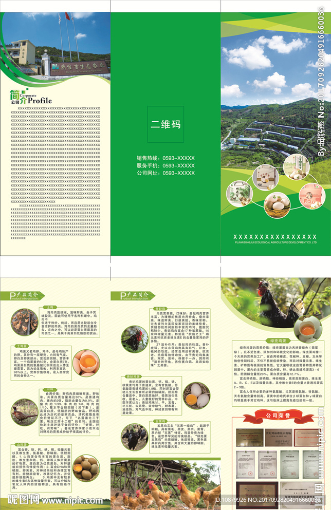 鸡三折页