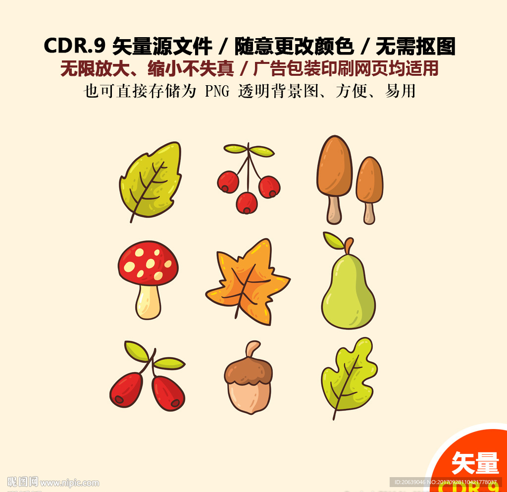 手绘树叶花草果子蘑菇矢量图