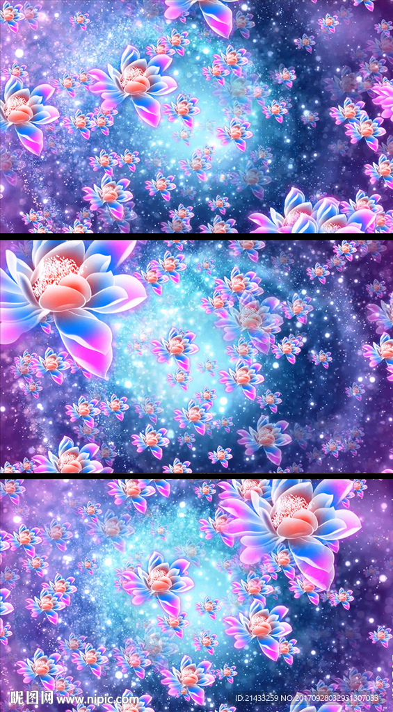 唯美动态荷花节目视频背景