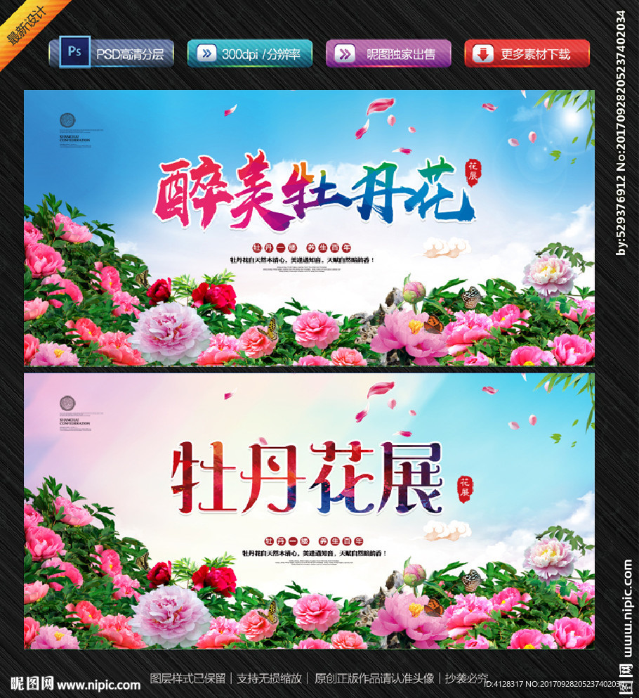 牡丹花