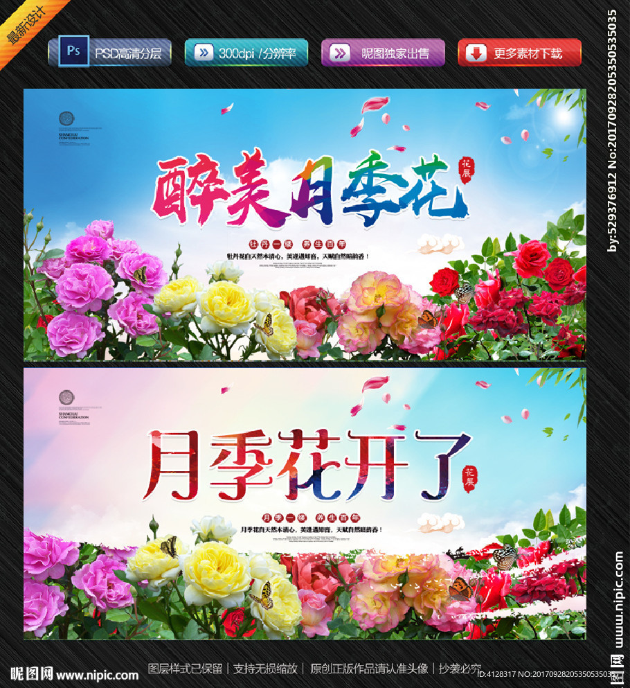 月季花