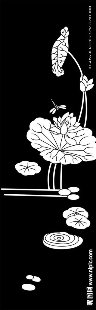 荷花