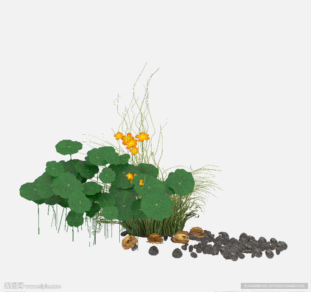 荷塘植物模型