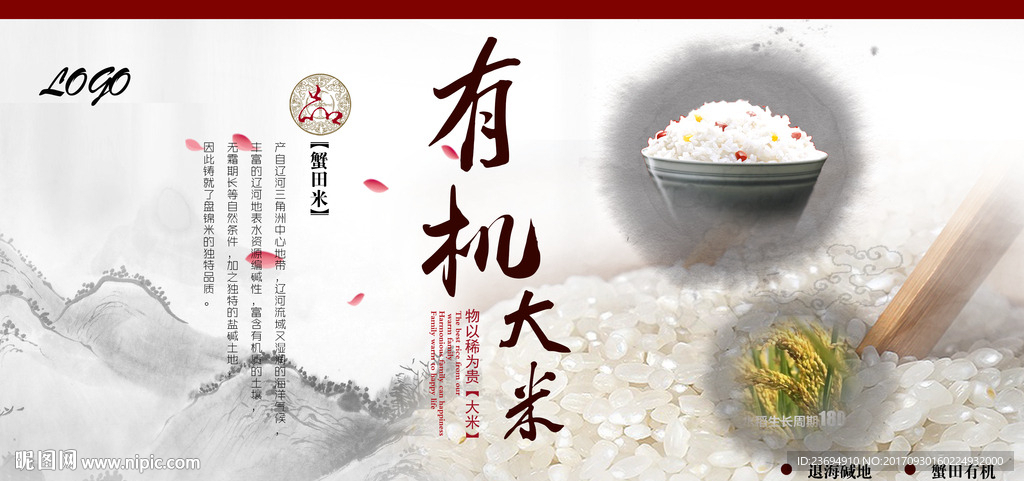 大米米饭海报