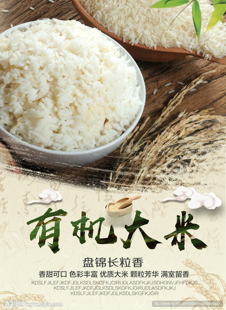 大米米饭宣传海报