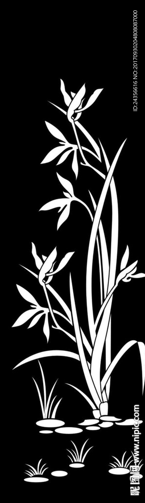 兰花