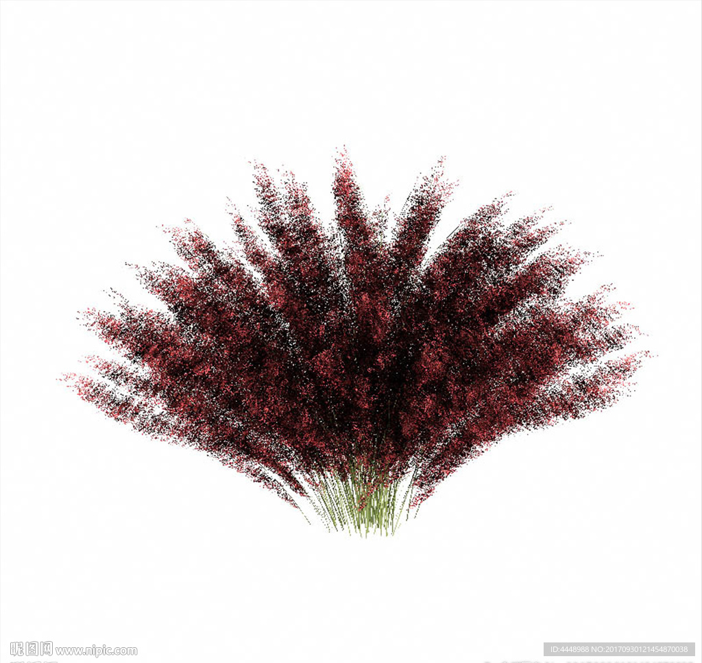 红色植物花絮模型