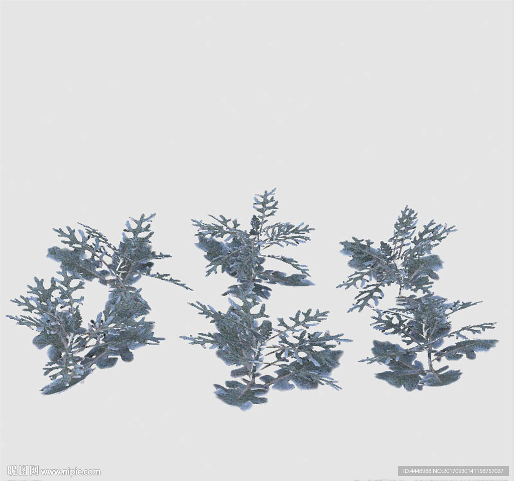 丛生植物模型