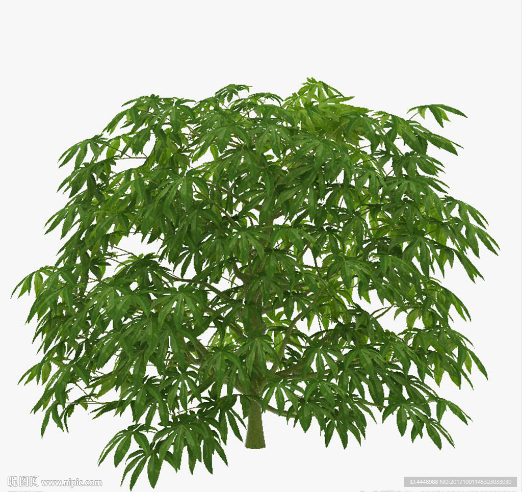 常年生绿色植物模型