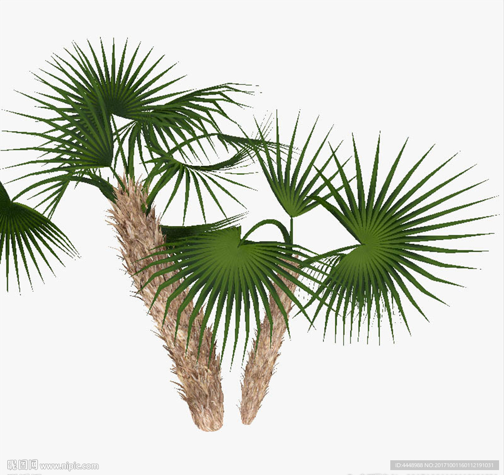 针叶绿色植物模型
