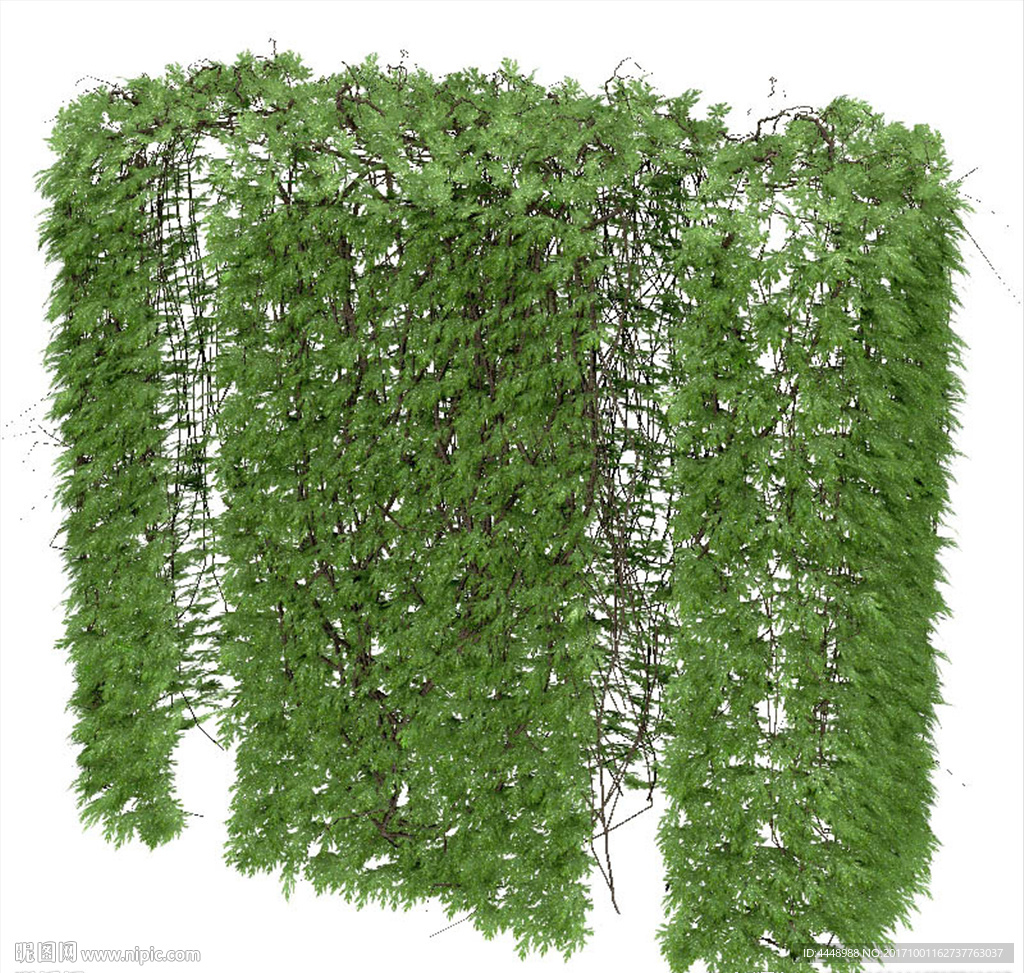 室外藤蔓植物模型