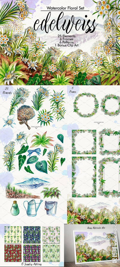 手绘水彩植物花朵