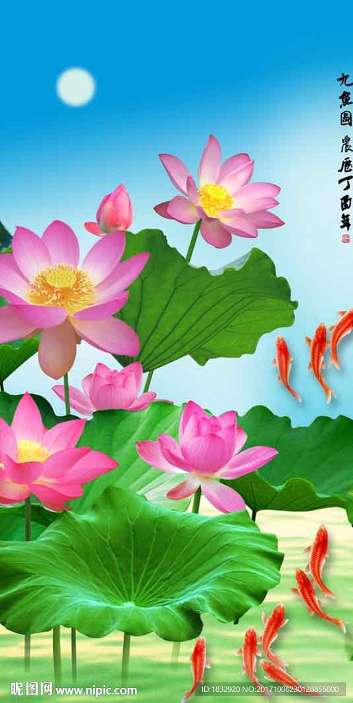荷花九鱼图