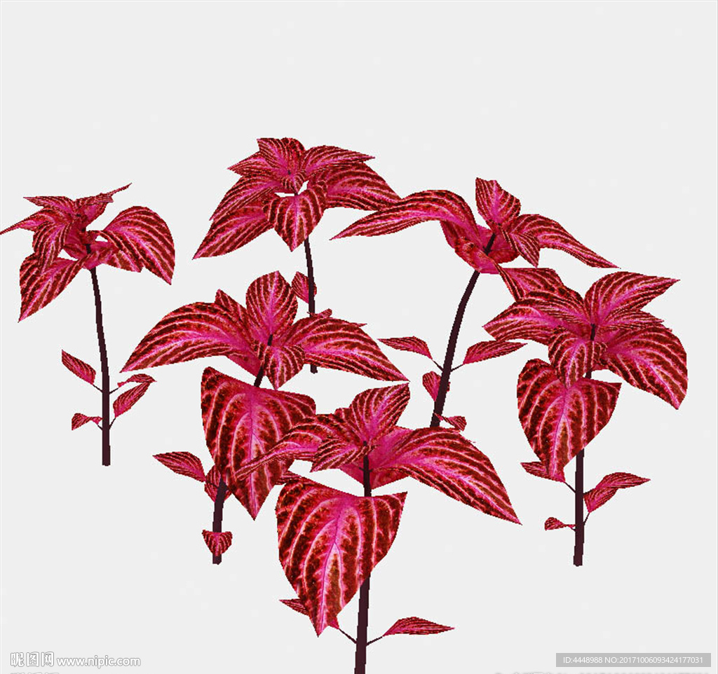 室外红色植物模型