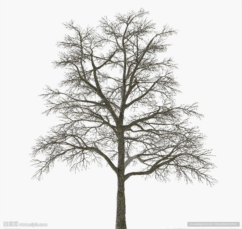 冬季树模型